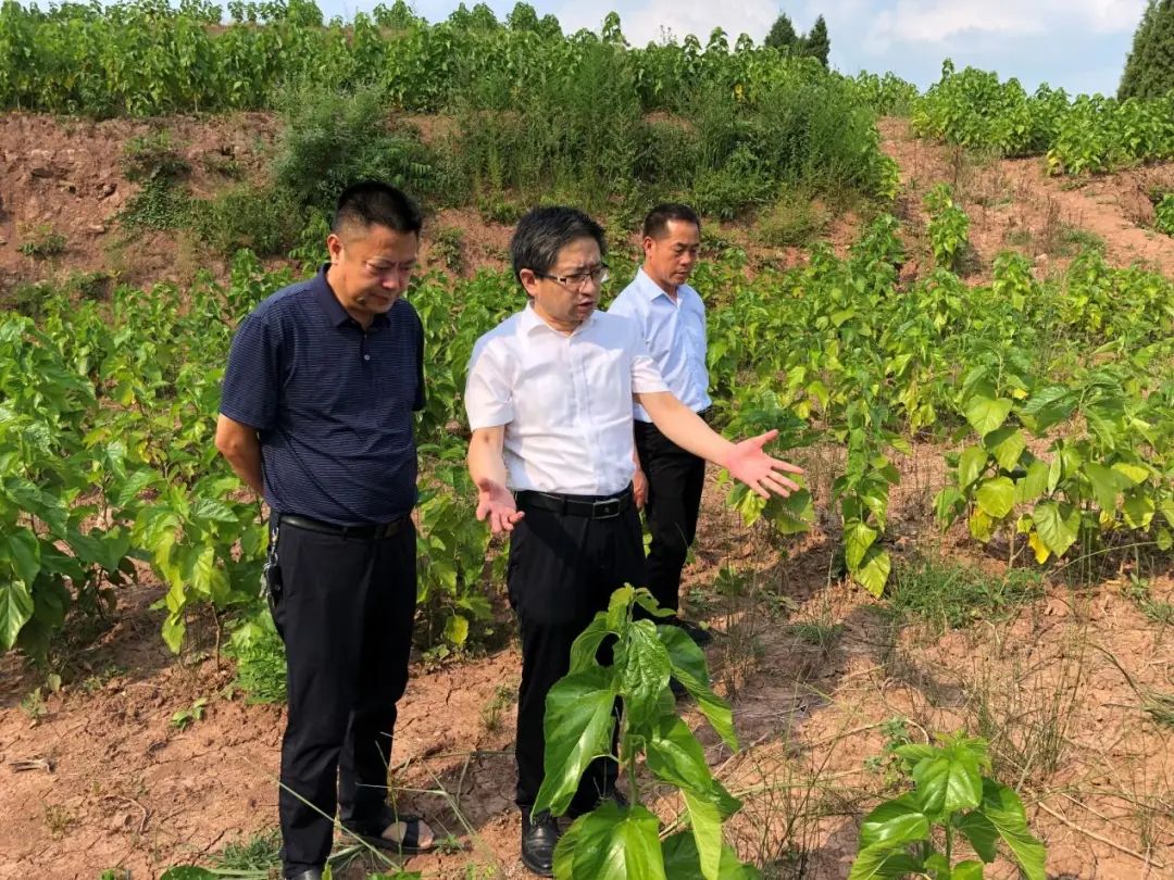 2022年重庆市“最美科技工作者”02.jpg